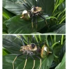 80Pcs Steampunk Insect Metal Model Kits Mechanical Crafts for Home Decor - Spider